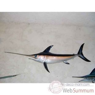 Trophée poisson des mers tropicales Cap Vert Espadon