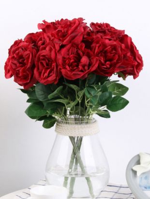 The Wedding Dress Of A Bean Abbi Jacobson In Disenchanted