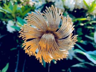 Broche en or, pompon Cordelia tonique corde signé MONET