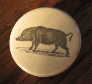 Sanglier Vintage Image 1,25 Pin ButtonBack/Pin/Badge