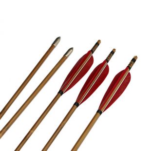 PATIKIL Flèches Ailettes Aile Gauche Plume Dinde Fletching Tir à l'arc PATIKIL Flèches Ailettes Aile Gauche Plume Dinde Fletching Tir à l'arc