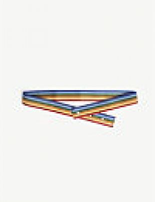 PALM ANGELS Rainbow canvas belt