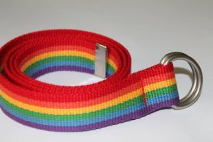 Rainbow Webbing Belt D Ring 1.25" Wide Large Rainbow Belt Mens Rainbow Belt Ladies Rainbow Belt Rainbow Webbing Belt Costume Belt