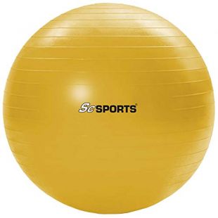 ScSPORTS Ballon de Gymnastique 65 cm