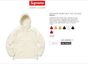 Polartec × Supreme Supreme Polartec Size M $260