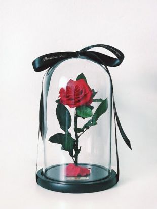 La réplica de la rosa encantada y su base de cristal en La Bella y la Bestia