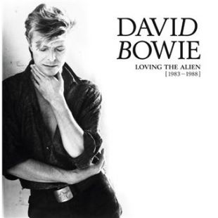 Loving The Alien (1983 1988) Coffret 15 vinyls