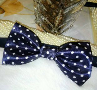 Navy White Satin Bowties / polka dots