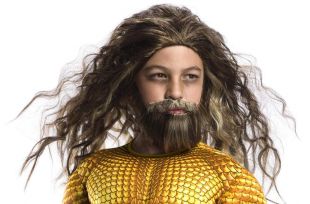 Rubie's 34594NS Comics Official DC Justice League Aquaman Wig and Beard Set,...  | eBay