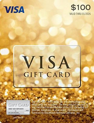 $100 Visa Gift Card (plus $5.95 Purchase Fee)