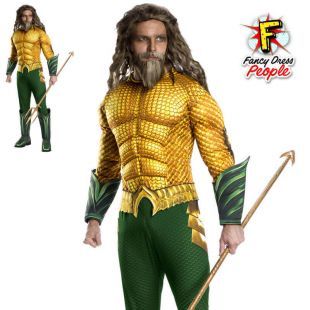 Aquaman DC Comics Hero TV Book Film Movie Fancy Dress Book Day Week Costume | eBay