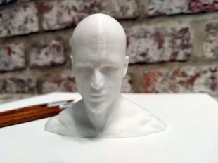 Visage humain, Sculpture de l’artiste, modèle imprimé 3D artiste head,