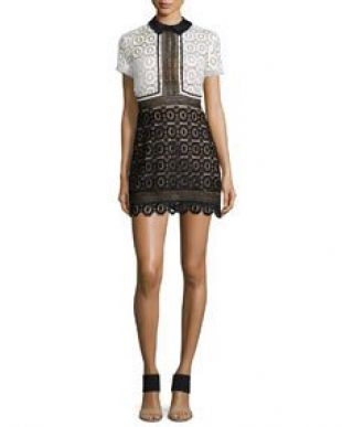 Felicia Collared Lace Dress