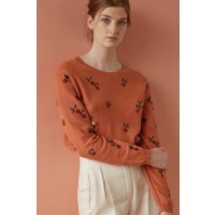 pull doko clementine