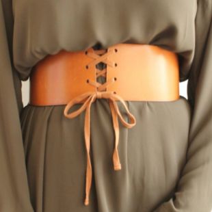 Aritzia Babaton Almus Corset Belt