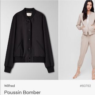 Poussin Bomber