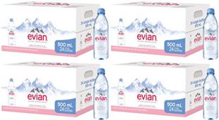 evian Poli Natural Spring Water Individual 500 ml (16.9 oz.) Bottles, Naturally Filtered Spring Water in Individual-Sized Plastic Bottles, 4 Cases of 24