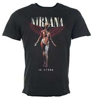 Amplified Nirvana in Utero Colour T-Shirt