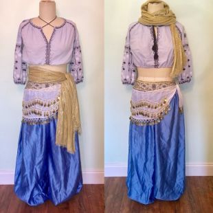 Genie Costume Harem Fortune Teller Gypsy Belly Dance High waist Pants Crop Top size Medium Large