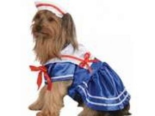 Costumes for all Occasions RU887814SM Pet Costume Sailor Girl Sm