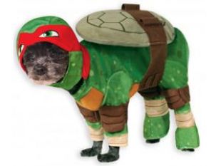 costume raphael pet