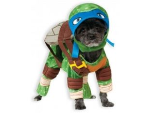 leonardo costume