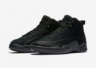 Air Jordan XII As Holster