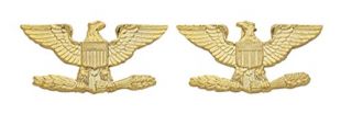 COLONEL EAGLE GOLD UNIFORM COLLAR BRASS PINS INSIGNIA EMBLEM ARMY MILITARY POLICE, SMALL 1" x 1/2" (Sold as PAIR, 2 Included !)