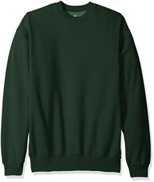 Hanes Men's Ecosmart Fleece Sweatshirt, Deep Forest, Small