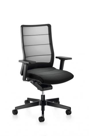 Interstuhl AirPad 3C42 Chair