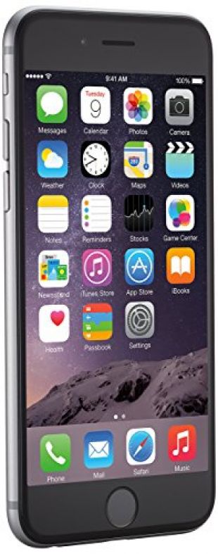 Apple iPhone 6 Gris Sidéral 16Go Smartphone Débloqué (Reconditionné)