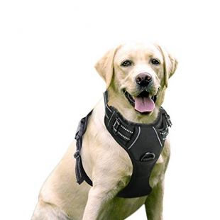 Rabbitgoo  Dog Harness No-Pull Pet Harness Adjustable Outdoor Pet Vest 3M Reflective Oxford Material Vest for Dogs Easy Control for Small Medium Large Dogs (Black, L)