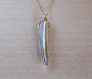 Collier de coquillages. Collier de défense. Collier long.