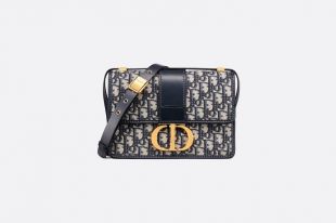 Dior 30 Montaigne bag