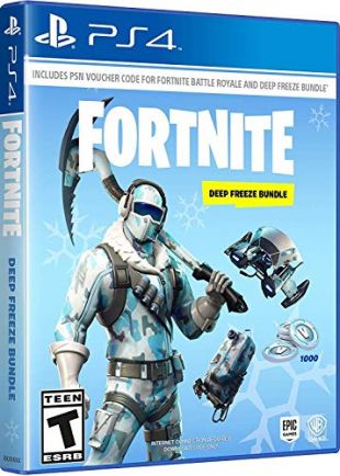 Warner Bros Fortnite: Deep Freeze Bundle - PlayStation 4