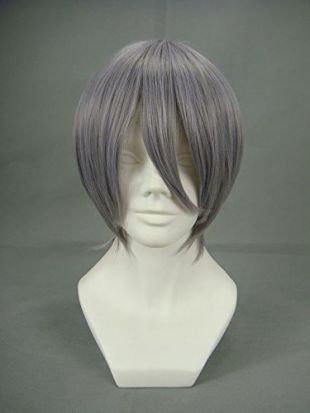 JapanAttitude Perruque Courte Grise 32cm, Cosplay Vampire Knight kiryu Zero