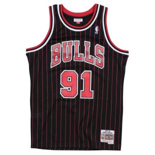 Mitchell & Ness HWC Swingman Jersey Chicago Bulls 1995 96 D. Rodman #91