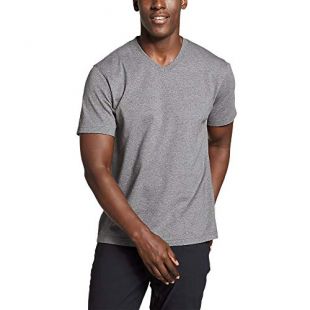 Eddie Bauer Men's Legend Wash Pro Short-Sleeve V-Neck T-Shirt, Med HTR Gray Regu
