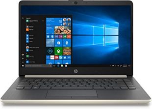 2019 HP Laptop, 14 Zoll (35,6 cm), Intel Core i3, 8 GB Speicher, 128 GB Solid State Drive, Eschensilber