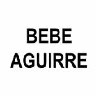 Bebe Aguirre Burberry Custom Mask