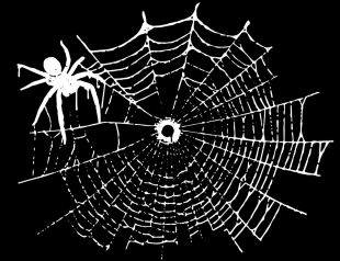 Shop —   FUCCUUWANT