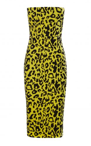 Alex Perry Nolan Strapless Leopard Print Dress