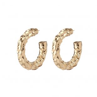 Mini Maeve Hoop Earrings