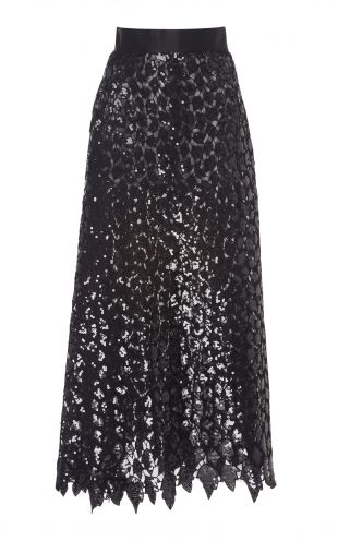 Semi Sheer Embroidered Tulle Skirt