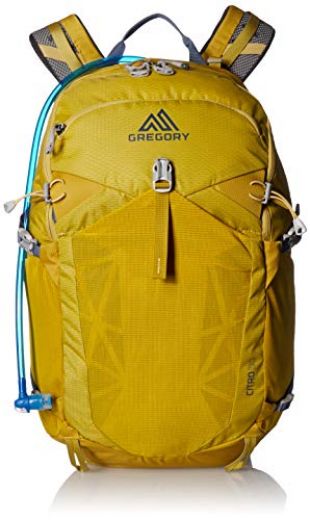 gregory yellow backpack