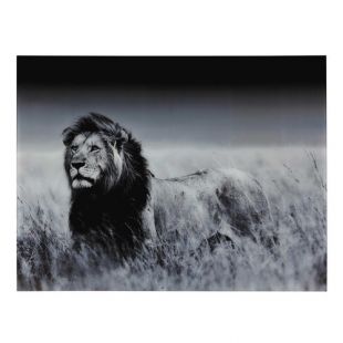 Tableau lion en plexi MACHAKA