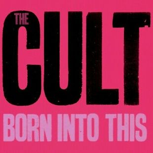 The CULT Born Into This BANNER HUGE 4X4 Ft Tapestry Fabric Poster Flag album art  | eBay