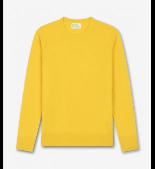 Pull col rond 100% baby cashmere