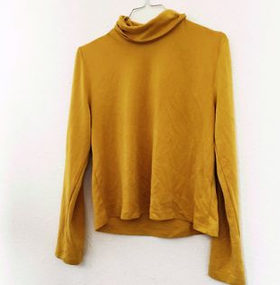 Mustard Roll Neck Top