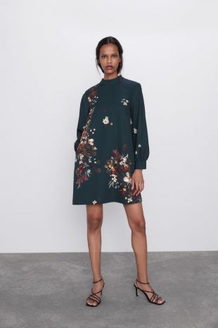 Puff Shoulder Print Dress